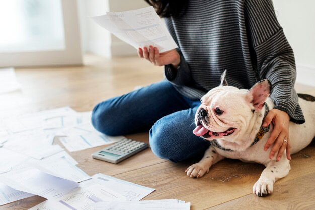 A girl is sorting out papers on the floor, with a dog nearby